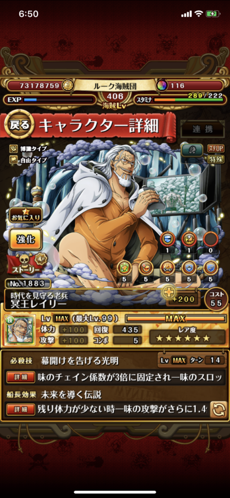 時代を見守る老兵　冥王レイリー